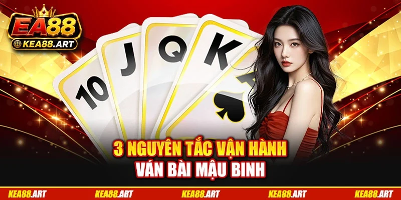 3 nguyên tắc vận hành ván bài mậu binh 3 nguyên tắc vận hành ván bài mậu binh