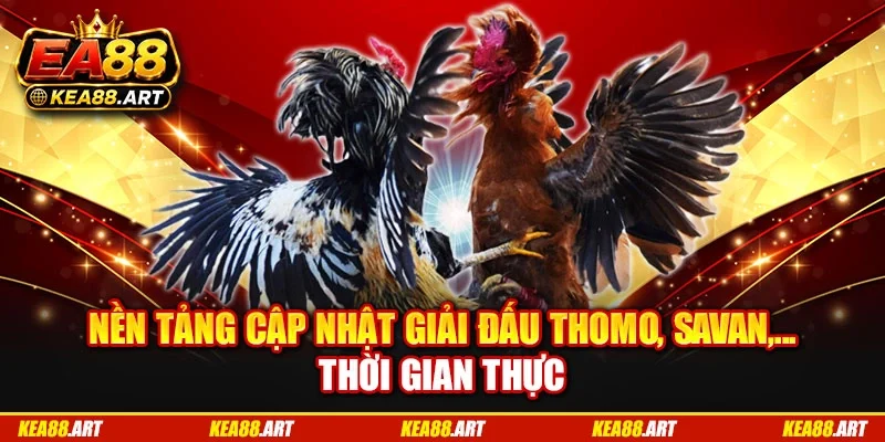 Nền tảng cập nhật giải đấu Thomo, Savan,... thời gian thực Nền tảng cập nhật giải đấu Thomo, Savan,... thời gian thực