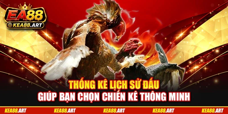 Thống kê lịch sử đấu giúp bạn chọn chiến kê thông minh Thống kê lịch sử đấu giúp bạn chọn chiến kê thông minh