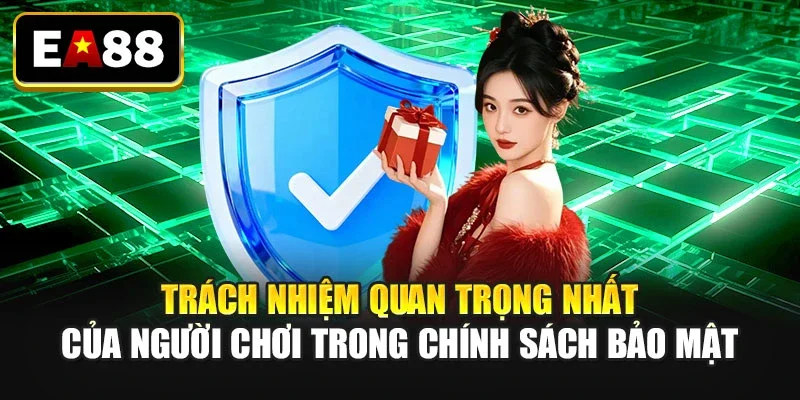 Trách nhiệm quan trọng nhất của người chơi trong chính sách bảo mật Trách nhiệm quan trọng nhất của người chơi trong chính sách bảo mật